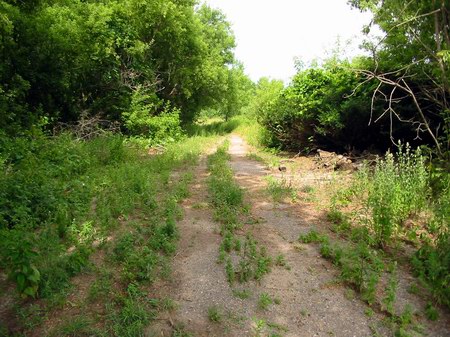 Northside Drive-In Theatre - Now - Photo From Water Winter Wonderland (newer photo)